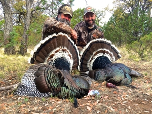 Hunt Mexico Gould's Turkey